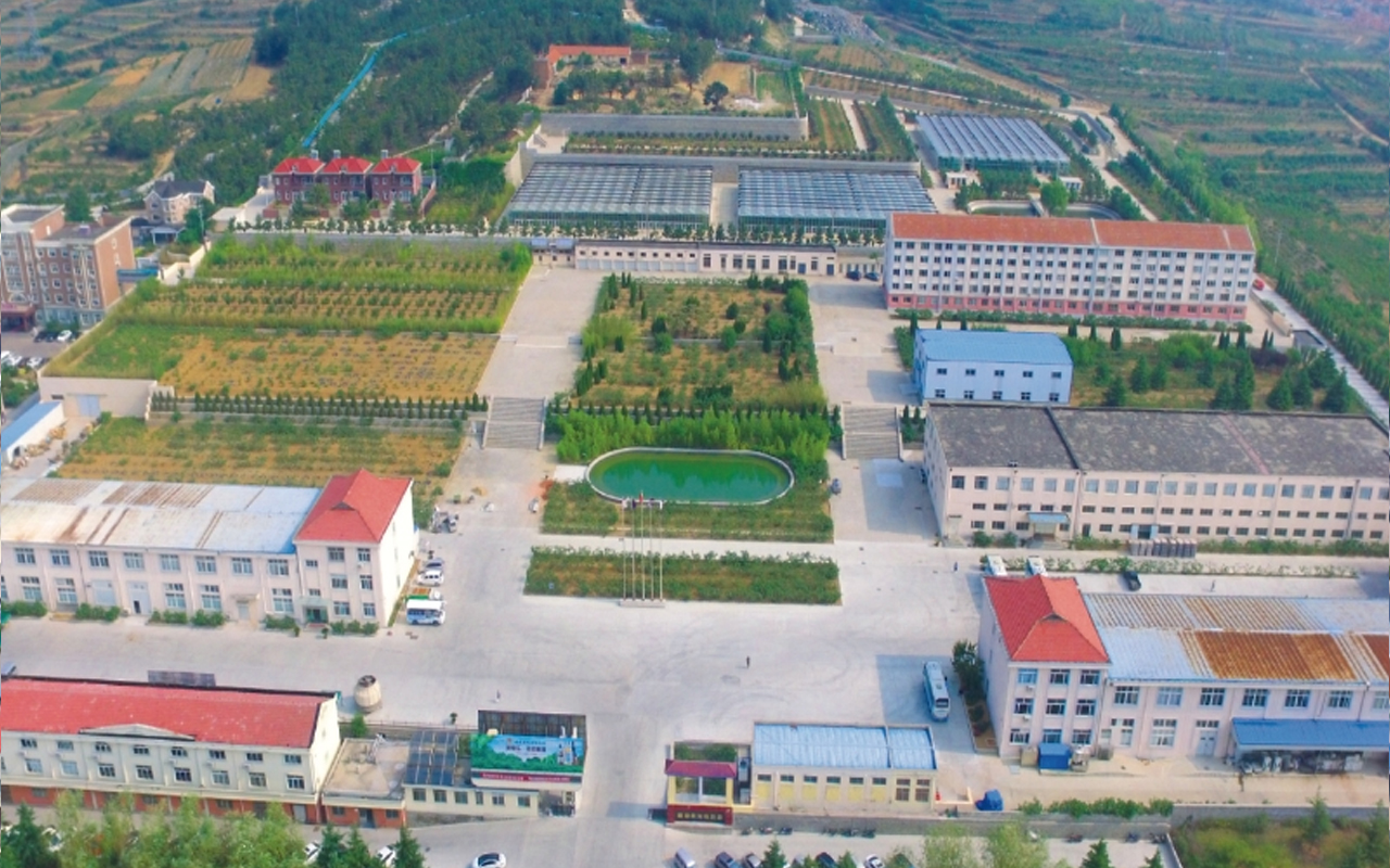 平顶山紫健无花果产业产研基地