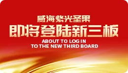【搜狐】新闻速递|公海彩船6600圣果拿到“通关证书” ，即将登陆新