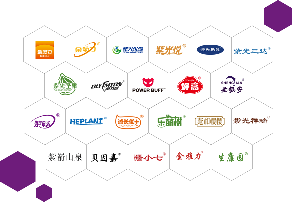 syppzx_img 公海彩船6600(中国游)官方网站