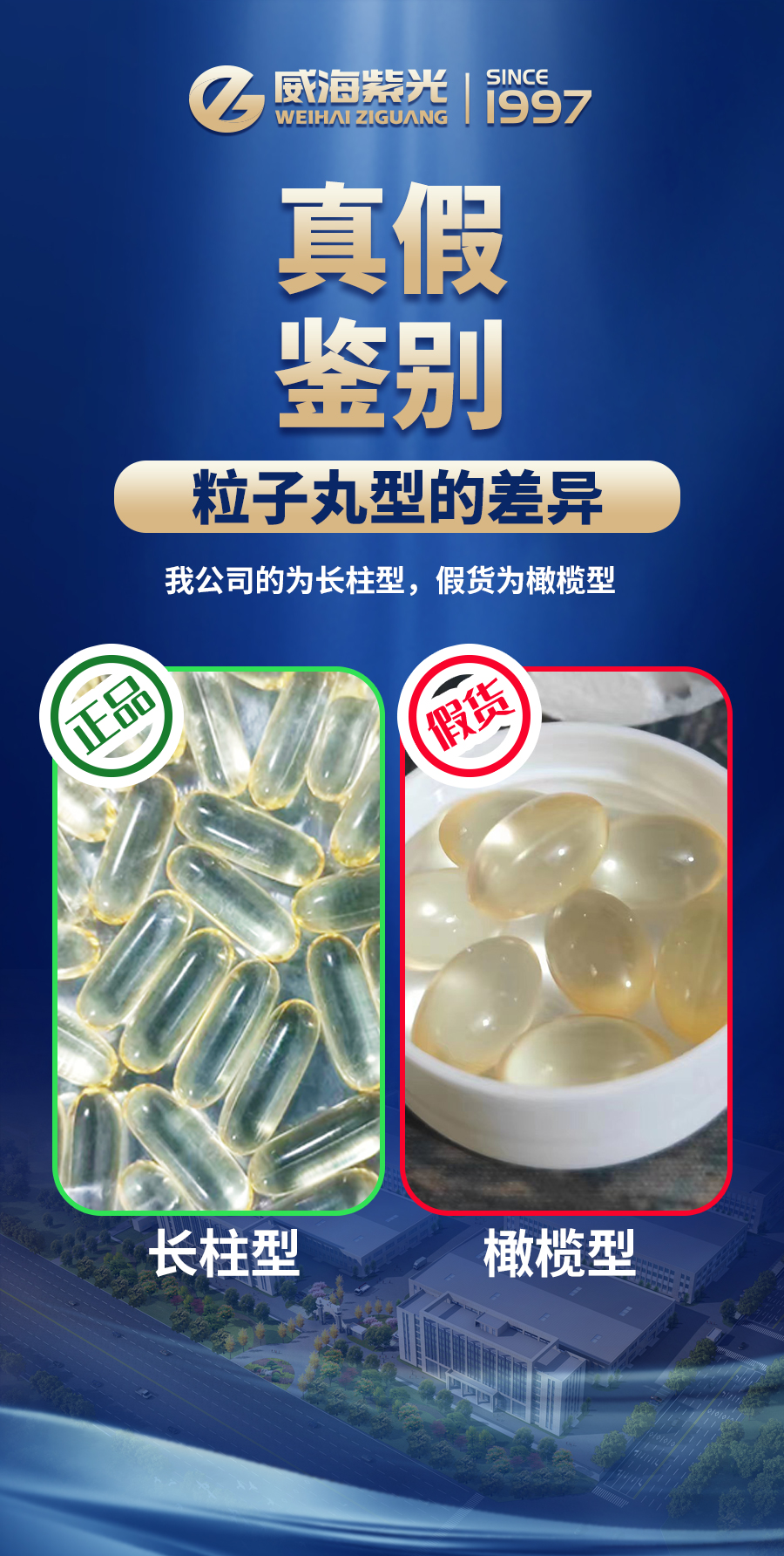 1-2312141H423a2 1-2312141H423a2